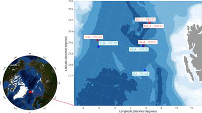 Optical observations and spatio-temporal projections of gelatinous zooplankton in the Fram Strait, a gateway to a changing Arctic Ocean
